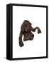 Abject Brown Jumper, 2004-Miles Thistlethwaite-Framed Stretched Canvas