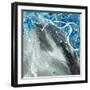 Ablation I-Tyson Estes-Framed Giclee Print