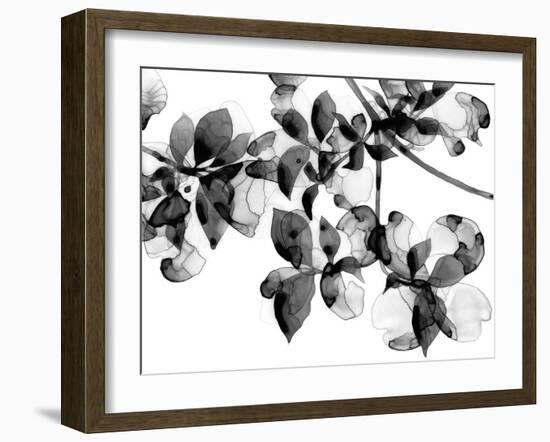 Abloom - Noir-Jackie Battenfield-Framed Giclee Print