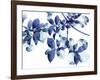 Abloom-Jackie Battenfield-Framed Giclee Print