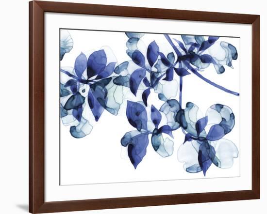 Abloom-Jackie Battenfield-Framed Giclee Print