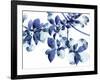 Abloom-Jackie Battenfield-Framed Giclee Print