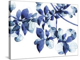Abloom-Jackie Battenfield-Stretched Canvas