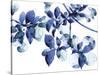 Abloom-Jackie Battenfield-Stretched Canvas