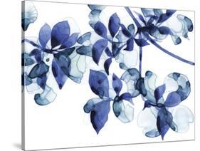 Abloom-Jackie Battenfield-Stretched Canvas