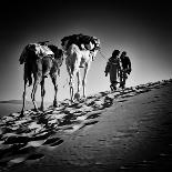 Square Black & White Image of 2 Men and 2 Camels in Sahara Desert-ABO PHOTOGRAPHY-Laminated Photographic Print