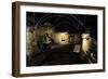 Aboa Vetus and Ars Nova, Aboa Vetus, Remains of Six Medieval Buildings, Finland-null-Framed Giclee Print