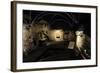 Aboa Vetus and Ars Nova, Aboa Vetus, Remains of Six Medieval Buildings, Finland-null-Framed Giclee Print