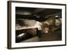 Aboa Vetus and Ars Nova, Aboa Vetus, Remains of Six Medieval Buildings, Finland-null-Framed Giclee Print