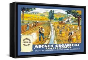 Abonos Organicos-null-Framed Stretched Canvas