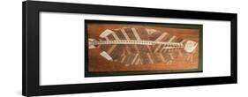 Aboriginal bark painting depicting a fish-null-Framed Giclee Print