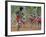 Aboriginal Dance, Australia-Sylvain Grandadam-Framed Photographic Print