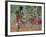 Aboriginal Dance, Australia-Sylvain Grandadam-Framed Photographic Print