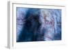 Aboriginal Hand Painting, Carnarvon Gorge, Queensland, Australia, Pacific-Michael Runkel-Framed Photographic Print