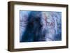 Aboriginal Hand Painting, Carnarvon Gorge, Queensland, Australia, Pacific-Michael Runkel-Framed Photographic Print