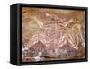 Aboriginal Paintings, Kakadu, Nourlangie, Australia-Connie Bransilver-Framed Stretched Canvas