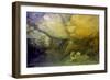 Aboriginal rock art of Wandjina figure with a burial underneath it-null-Framed Giclee Print