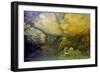 Aboriginal rock art of Wandjina figure with a burial underneath it-null-Framed Giclee Print