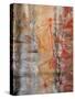 Aboriginal Rock Art, Ubirr, Kakadu National Par, Northern Territory, Australia, Pacific-Schlenker Jochen-Stretched Canvas