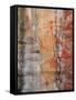 Aboriginal Rock Art, Ubirr, Kakadu National Par, Northern Territory, Australia, Pacific-Schlenker Jochen-Framed Stretched Canvas