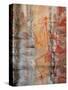 Aboriginal Rock Art, Ubirr, Kakadu National Par, Northern Territory, Australia, Pacific-Schlenker Jochen-Stretched Canvas