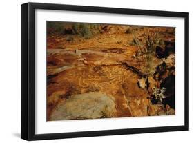 Aboriginal rock engravings-null-Framed Giclee Print