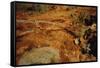 Aboriginal rock engravings-null-Framed Stretched Canvas