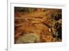 Aboriginal rock engravings-null-Framed Giclee Print