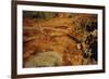 Aboriginal rock engravings-null-Framed Giclee Print