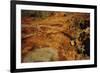 Aboriginal rock engravings-null-Framed Giclee Print