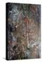 Aboriginal rock painting of Mimi spirits from the Kakadu National Park-null-Stretched Canvas