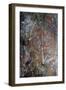 Aboriginal rock painting of Mimi spirits from the Kakadu National Park-null-Framed Giclee Print