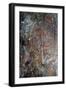 Aboriginal rock painting of Mimi spirits from the Kakadu National Park-null-Framed Giclee Print