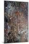 Aboriginal rock painting of Mimi spirits from the Kakadu National Park-null-Mounted Giclee Print