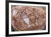 Aboriginal Wandjina Cave Artwork in Sandstone Caves at Raft Point, Kimberley, Western Australia-Michael Nolan-Framed Photographic Print