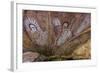 Aboriginal Wandjina Cave Artwork in Sandstone Caves at Raft Point, Kimberley, Western Australia-Michael Nolan-Framed Photographic Print