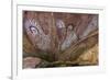 Aboriginal Wandjina Cave Artwork in Sandstone Caves at Raft Point, Kimberley, Western Australia-Michael Nolan-Framed Photographic Print