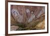 Aboriginal Wandjina Cave Artwork in Sandstone Caves at Raft Point, Kimberley, Western Australia-Michael Nolan-Framed Photographic Print