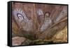 Aboriginal Wandjina Cave Artwork in Sandstone Caves at Raft Point, Kimberley, Western Australia-Michael Nolan-Framed Stretched Canvas
