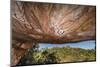 Aboriginal Wandjina Cave Artwork in Sandstone Caves at Raft Point, Kimberley, Western Australia-Michael Nolan-Mounted Photographic Print