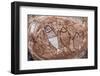 Aboriginal Wandjina Cave Artwork in Sandstone Caves at Raft Point, Kimberley, Western Australia-Michael Nolan-Framed Photographic Print