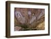 Aboriginal Wandjina Cave Artwork in Sandstone Caves at Raft Point, Kimberley, Western Australia-Michael Nolan-Framed Photographic Print