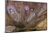 Aboriginal Wandjina Cave Artwork in Sandstone Caves at Raft Point, Kimberley, Western Australia-Michael Nolan-Mounted Photographic Print