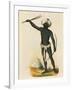 Aborigine from Island of Vatou-Lele (Fiji Islands)-null-Framed Giclee Print