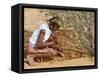 Aborigine Woman Digging for Wichetty Grubs, Northern Territory, Australia-Claire Leimbach-Framed Stretched Canvas