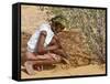 Aborigine Woman Digging for Wichetty Grubs, Northern Territory, Australia-Claire Leimbach-Framed Stretched Canvas