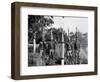 Aborigines-null-Framed Photographic Print