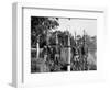 Aborigines-null-Framed Photographic Print