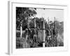 Aborigines-null-Framed Photographic Print