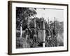 Aborigines-null-Framed Photographic Print